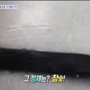 스시민 이미지