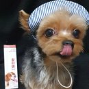 홍익메디케어 이미지