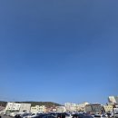 삼기파출소 자율방범대 | 강릉) 강릉 교동 국밥 '홍돼지국밥' 꼭 드세요