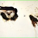 6일카센타 이미지