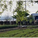 믿음펜션 이미지