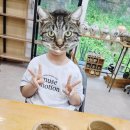 초안산도자기체험장 | 서울 노원 &lt;초안산도자기체험장&gt; 일일체험 원데이클래스 내돈내산후기