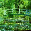 버드나무 이미지