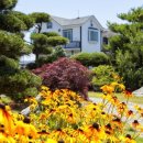 꽃지 화이트 펜션 이미지