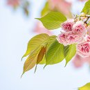 안양예술공원내 공영주차장 이미지