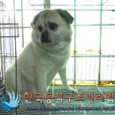 가양1동 주민센타 이미지