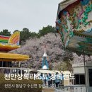 매직카랜드 | 천안 상록리조트 상록랜드 4월 주말 방문 후기 (4/11~4/12) 🎡