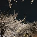 연희숯불구이 | [연희] 연희동 고기집 숯불구이 전문점 이도 | 소고기부터 돼지고기까지 골고루 먹은 날 ٩(•̤̀ᵕ•̤́๑)ᵒᵏᵎᵎᵎᵎ