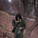 고양이동산 이미지