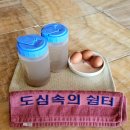 건강종합면역찜질방 | [창원 찜질방] 폭염 피난처 찾았다! 도심속의쉼터 24시 찜질방 후기 | 불가마·소금방·식혜까지