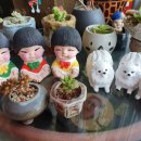 돌고래당구장 이미지