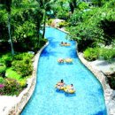 천하태평 이미지