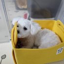 니니앤제리 이미지