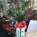 한지영한의원 이미지