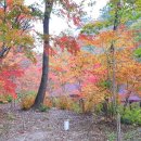 소원공인중개사사무소 이미지