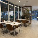 메콩강 PHO 이미지