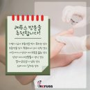 레푸스 구로점 이미지