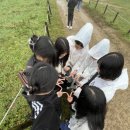 남이목장 이미지