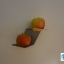 (주)세계여행사 이미지