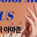 어스네일