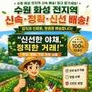싱싱상회 - 밀양시 삼랑진로 139 | 싱싱상회