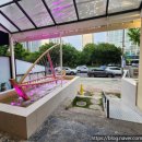 방어진참가자미 이미지