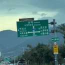 The Dinner | 남해로 떠나보자! 수박이와의 첫 장거리 여행🚗