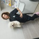 master grooming 이미지