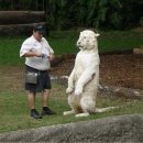 임상심리학 이미지