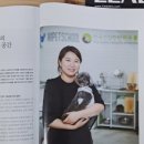 하이펫살롱 이미지