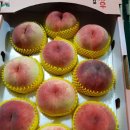 병준농장 이미지