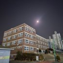 롯데큰나무공인중개사사무소 이미지