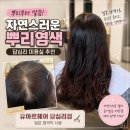 유아르헤어 | 답십리 미용실 유아르헤어 밀본으로 뿌리염색 찰랑한 머릿결~