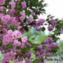 솔기아파트 이미지