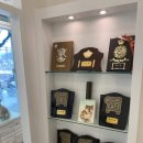 시바나라 이미지