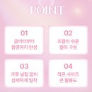 일본 드럭스토어 쇼핑 캔메이크 쁘띠 팔레트 아이즈: 01 플럼 플라워 봄웜 아이섀도 추천