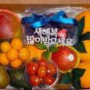 더리얼푸릇 이미지
