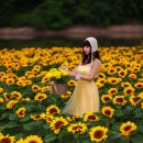바실라