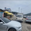 보길도식당