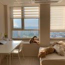 모모하우스 이미지