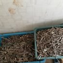 달뜨기흑염소목장 이미지