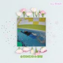 아쿠아차일드순천점 | 순천어린이수영장 아쿠아차일드 순천점 믿고 안전하게 보내보세요