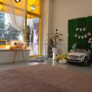 님도그냥 이미지