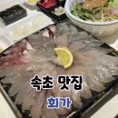 명랑시대속초교동점 | 속초 회포장 맛집 회가 가성비 횟집 후기
