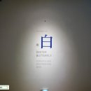 나비기획