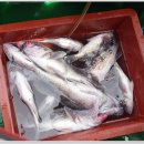 인천유선 이미지