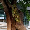 상교동주민센터 이미지