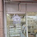 아이앤유 애견미용샵 | 강아지가 편안하게 받은 용인애견미용샵, 뽀송하댕 후기