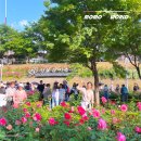 이문73 | 서울 꽃구경 중랑 서울장미축제 주차장 5월에 가볼만한곳