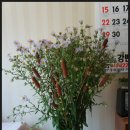 갑인농장 이미지